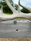 Peoria Ring